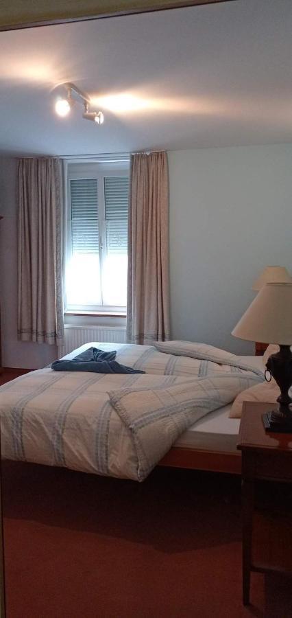 Garni Fluela Susch Otel Dış mekan fotoğraf